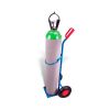 VARIOfit® Stahlflaschenkarre für 1 Flasche 20-50 Liter