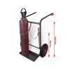 VARIOfit steel bottle trolley for 2 bottles, RAL 7016