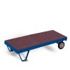 Two-wheeled platform