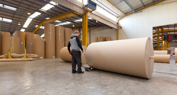 Paper roll