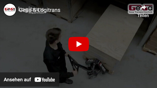 Logitrans Video